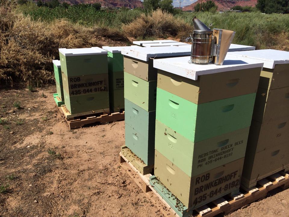 some hives